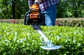 Motofoarfeca RURIS F555 1CP