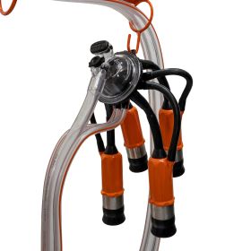 Mulgatoare RURIS Fagaras lact 902 550 W