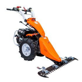 Motocultivator RURIS 977 CPS + Lama de cosit C 977 + Freza de sapat S 977 + Plug P 977  16 CP