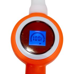 Pulverizator electric RURIS  RSE 200